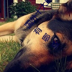 國外十大最火的視頻網站推薦 外國人常用的視頻網站有哪些