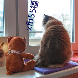 xfb55福性宝地址