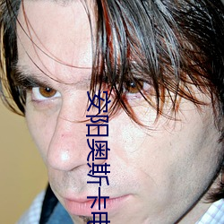 安阳奥斯(斯)卡(卡)电影院(院)
