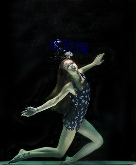 夜玫瑰