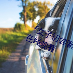 《女子初嘗黑人巨嗷嗷叫》免費高清在線觀看
