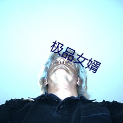 极品女婿