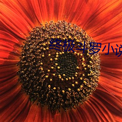 终极斗罗(羅)小说(說)