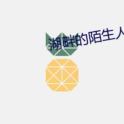 湖畔的陌生人