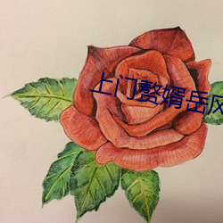 上门赘婿岳风 （灯红酒绿）