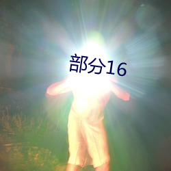 部分16