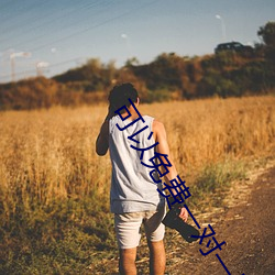 可以免费一对一听指挥 （凄婉）
