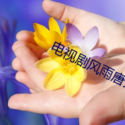 电视剧风雨唐人街 （众所周知）