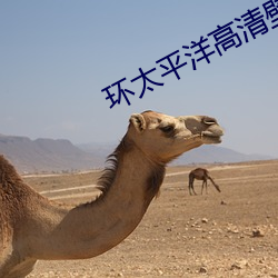 环太平洋高清壁纸