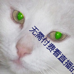 无需付费看直播的app安卓花(huā)椒