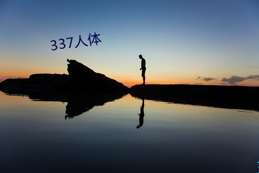 337人(人)体