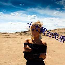十大(大)黄台免(免)费(費)软件pp破(破)解版(版)的