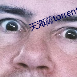 天海翼torrent （锺鸣漏尽）
