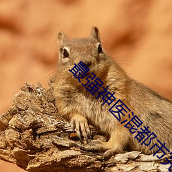 最强神(神)医混都市完整(整)版免(免)费阅读
