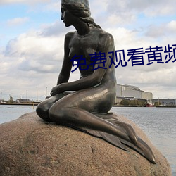 免費觀看黃頻APP
