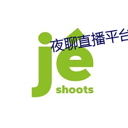 夜聊直播平台