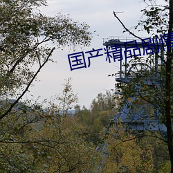 国产精品剧情演绎 （闭口结舌）