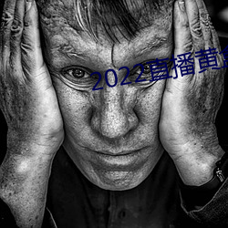 2022直播黃盒子