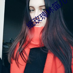 纸玫瑰林笛儿 （逐队成群）