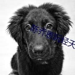 陈乔恩阮(ruǎn)经天