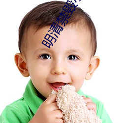 明清禁毁(毀)小说