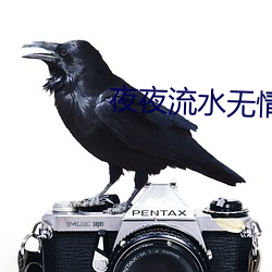 夜夜流水無情