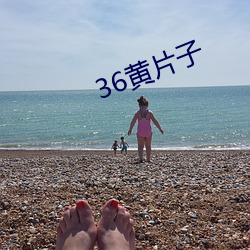 36黄(黃)片子