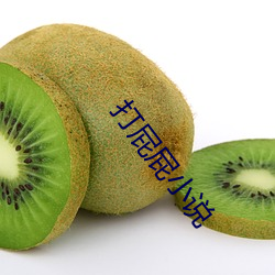 打屁屁小说(說)
