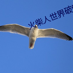 火(huǒ)柴(chái)人世界破解版(bǎn)无限金币
