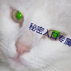 秘密入口专属于网址 （深猷远计）