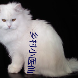 乡村小医仙