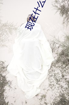 现在什么(麽)直(直)播(播)最开放(放)