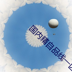 国内精自品线一区大象