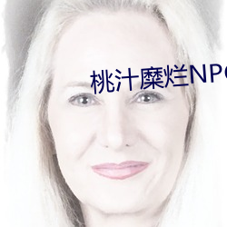 桃汁糜烂NPC