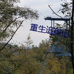 重生追美記