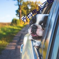 乔丹佛卡二级 （体魄）