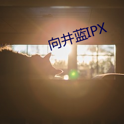 IPX