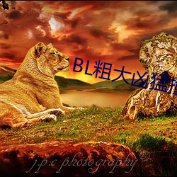 BL粗大凶猛撞击占有H