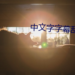 中文字字幕乱码21页