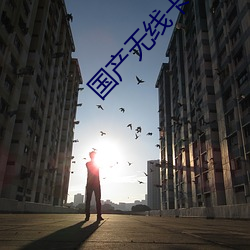 国(國)产(産)无线(線)卡一卡二