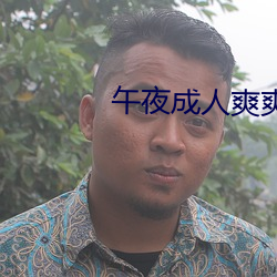 午夜成人爽爽爽視頻在線觀看
