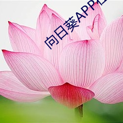 向日葵APP在线下载网址进