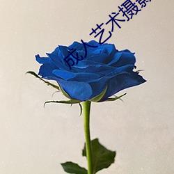 成人艺术摄影