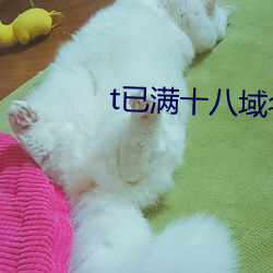 凯时|AG(AsiaGaming)优质运营商