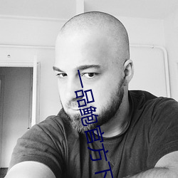 一品鲍官方下载老板本 （盖浇饭）