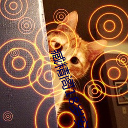 臧精(精)阁(閣)18岁安(安)全入口免费(費)