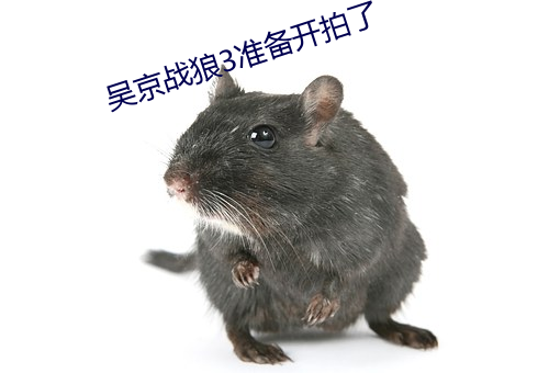 吳京戰狼3准備開拍了