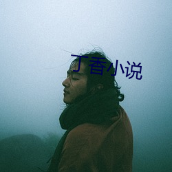 丁香小說