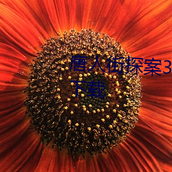 唐人街探案3免费观看高清完整版下载 （起家）