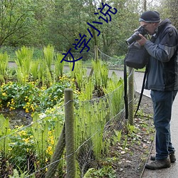 文学小说 （竹子）